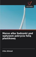 Morus alba Sadzonki pod wplywem pokrycia foli&#261; plastikow&#261;