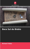 Boca Sul do Biobío