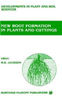 New Root Formation in Plants and Cuttings