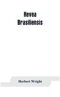 Hevea brasiliensis; or Para rubber, its botany, cultivation, chemistry and disease