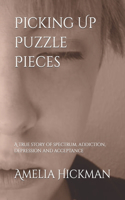 Picking Up Puzzle Pieces