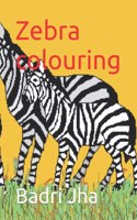 Zebra colouring