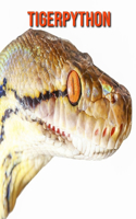 Tigerpython: Sagenhafte Fotos & Buch mit lustigem Wissen über Tigerpython für Kinder