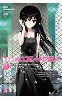 Accel World, Vol. 8 (light novel)