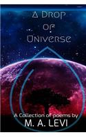 Drop of Universe