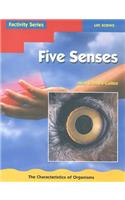 Five Senses