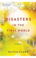 Disasters in the First World: Stories(English)