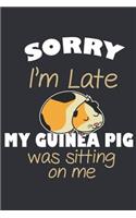 Guinea Pig