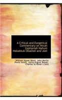 A Critical and Exegetical Commentary on Micah Zephaniah Nahum Habakkuk Obadiah and Joel