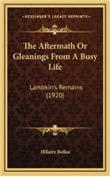 The Aftermath Or Gleanings From A Busy Life: Lambkin's Remains (1920)(English)
