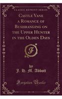Castle Vane a Romance of Bushranging on the Upper Hunter in the Olden Days (Classic Reprint): (English)