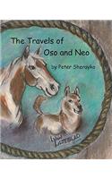 Travels of Oso and Neo