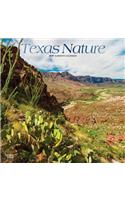 Texas Nature 2019 Square Foil