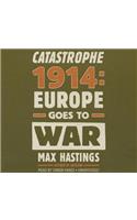 Catastrophe 1914 Lib/E