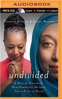 Undivided