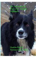 The Adventures of Flint in the Scottish Highlands.: A Mountain Dog's Life.