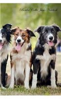 Border Collie June Notebook Border Collie Record, Log, Diary, Special Memories, To Do List, Academic Notepad, Scrapbook & More