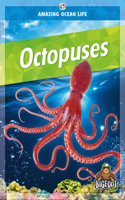 Octopuses
