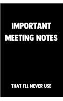 Important Meeting Notes That I'll Never Use