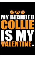 My Bearded Collie Is My Valentine