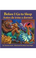 Before I Go to Sleep / Antes de irme a dormir