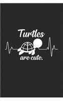 Turtles are cute