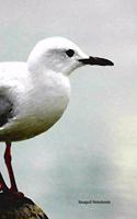 Seagull Notebook