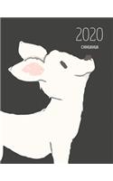 2020 Chihuahua: Dated Weekly Planner With To Do Notes & Dog Quotes - Chihuahua Cream(26 Awesome Calendar Planners for Dog Owners Dark)