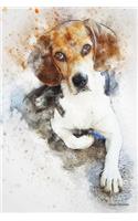 Beagle Notebook
