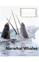 Narwhal Whales Wide Ruled Line Paper Composition Book: Whale fans, elementary students, elderly notebooks, visual impaired, large handwriting