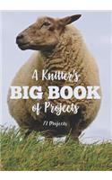 Knitter's Big Book of Projects