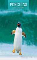 PENGUINS 2023 SQUARE WALL CALENDAR