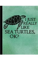 I Just Really Like Sea Turtles Composition Notebook - 5x5 Quad Rule