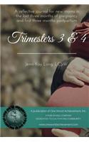Trimesters 3 & 4: A Reflective Journal for New Moms in the Last Three Months of Pregnancy and First Three Months Postpartum