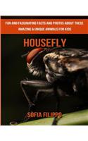 Housefly: Fun and Fascinating Facts and Photos about These Amazing & Unique Animals for Kids