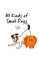 All Kinds of Small Dogs