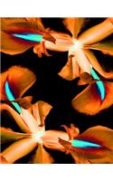 Orange Iris Notebook