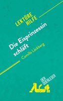 Die Eisprinzessin schlaft von Camilla Lackberg (Lekturehilfe)