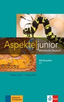 Aspekte junior