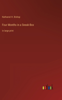 Four Months in a Sneak-Box