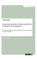 Lernen und arbeiten in Schule und Betrieb. Ein Blick in die Schulpraxis