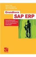 Grundkurs Sap(r) Erp