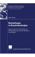 Rückstellungen Im Braunkohlenbergbau