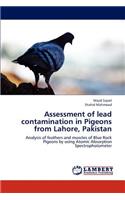 Assessment of Lead Contamination in Pigeons from Lahore, Pakistan