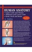 Human Anatomy