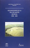 Excavaciones en la isla de Saltes (Huelva), 1988-2001