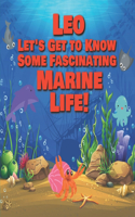 Leo Let's Get to Know Some Fascinating Marine Life!