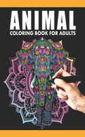 Animal Coloring Book For Adults