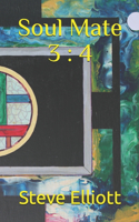 Soul Mate 3: 4(2 Two Book / Soul Mate)