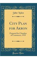 City Plan for Akron: Prepared for Chamber of Commerce, 1919 (Classic Reprint)